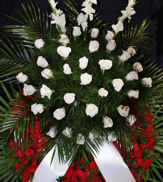 CORONA 9