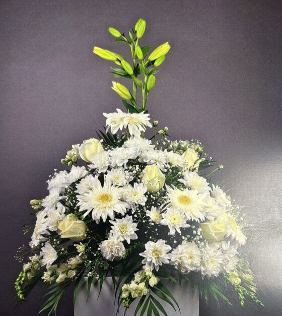 CENTRO 5B - CENTRO VARIADO - SED