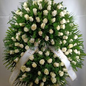 CORONA 2 - ILU