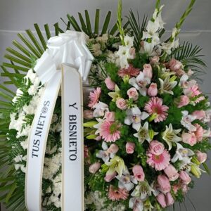 CORONA 6 - ILU